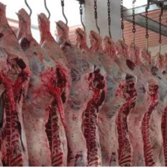 Meat