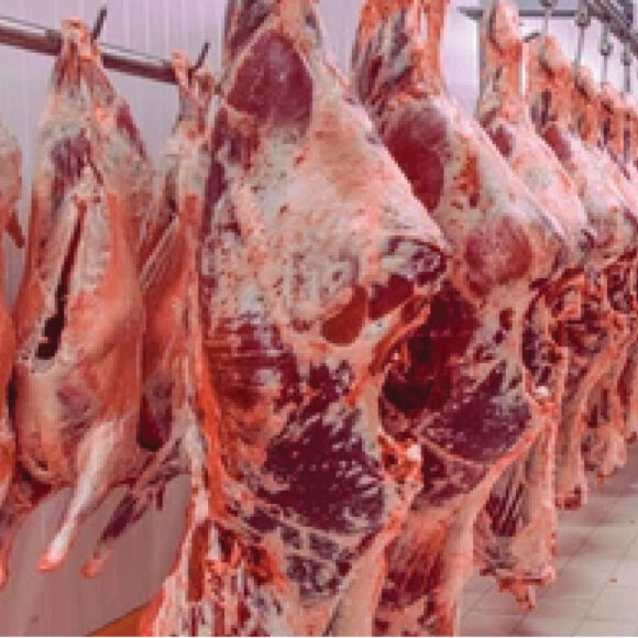 meat