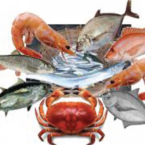 Seafood