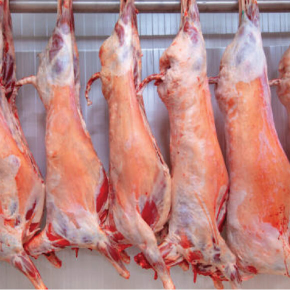 Meat