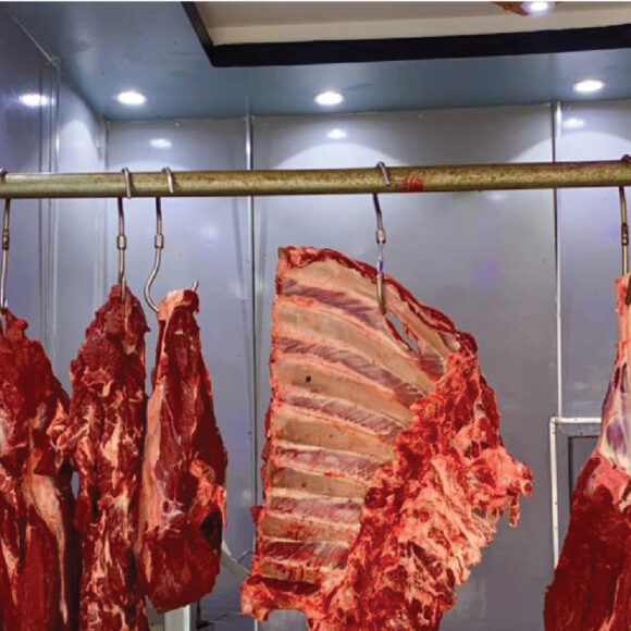 Meat